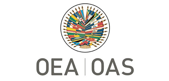 Missão da Organização dos Estados Americanos (OEA) acompanhará as Eleições 2018 no Brasil