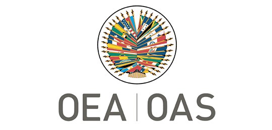 Missão da Organização dos Estados Americanos (OEA) acompanhará as Eleições 2018 no Brasil Missão da Organização dos Estados Americanos (OEA) acompanhará as Eleições 2018 no Brasil