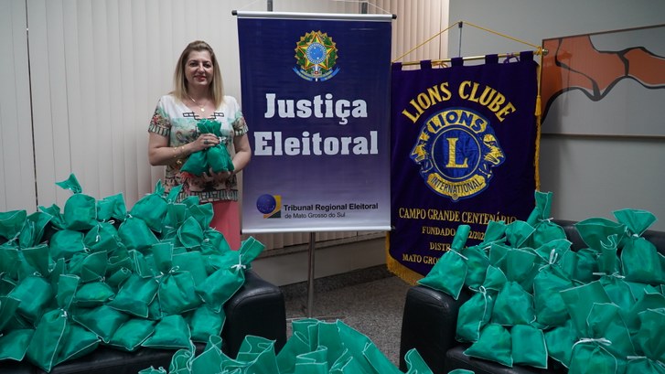 TRE-MS e Lions Clube se unem na preparação de kits para o Dia das Crianças Crianças
Entregas ocorrerão nos próximos dias nos bairros Noroeste, Canguru e Nova Lima