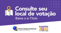 Eleitores devem estar atentos e realizar consulta com antecedência para evitar eventuais transto...