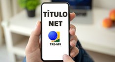 O sistema permite a solicitação do primeiro título, transferência de domicílio e revisão de dado...