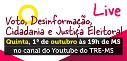 Voto, Desinformação, Cidadania e Justiça Eleitoral serão abordados no encontro virtual.